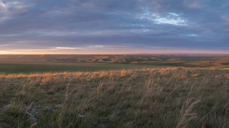 Dawn on the Great Plains — stock set